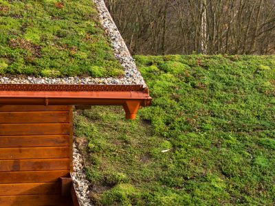 Green living roof on wooden building covered with vegetation